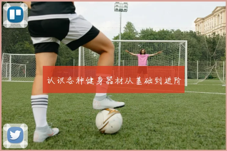 认识各种健身器材从基础到进阶