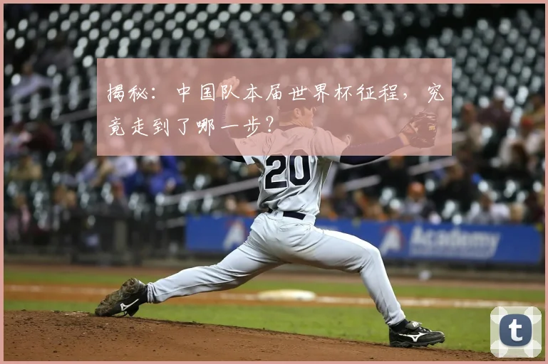 揭秘：中国队本届世界杯征程，究竟走到了哪一步？