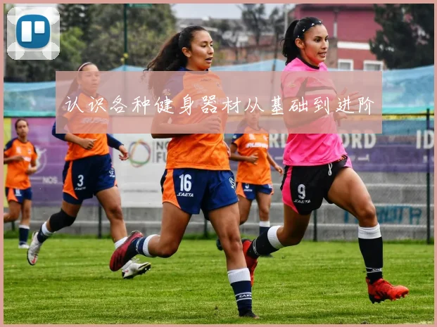 认识各种健身器材从基础到进阶