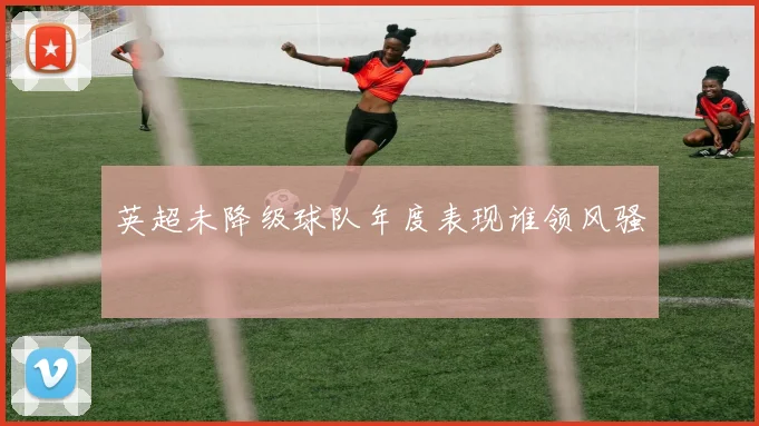 英超未降级球队年度表现谁领风骚